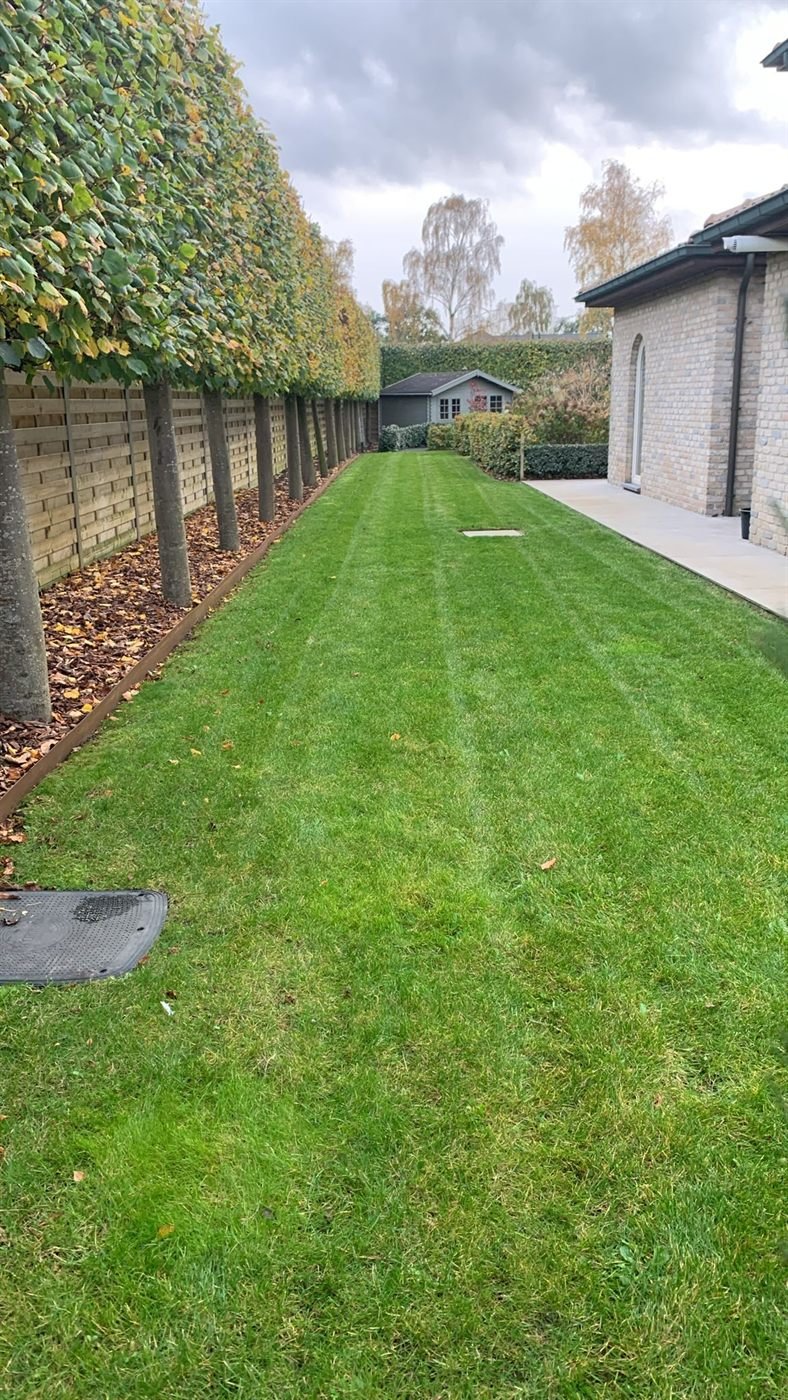 Tuin van Marleen na de renovatie