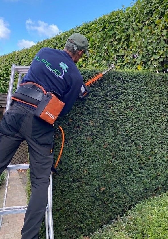 ELFIJO tuinman aan het werk in een tuin met heggen