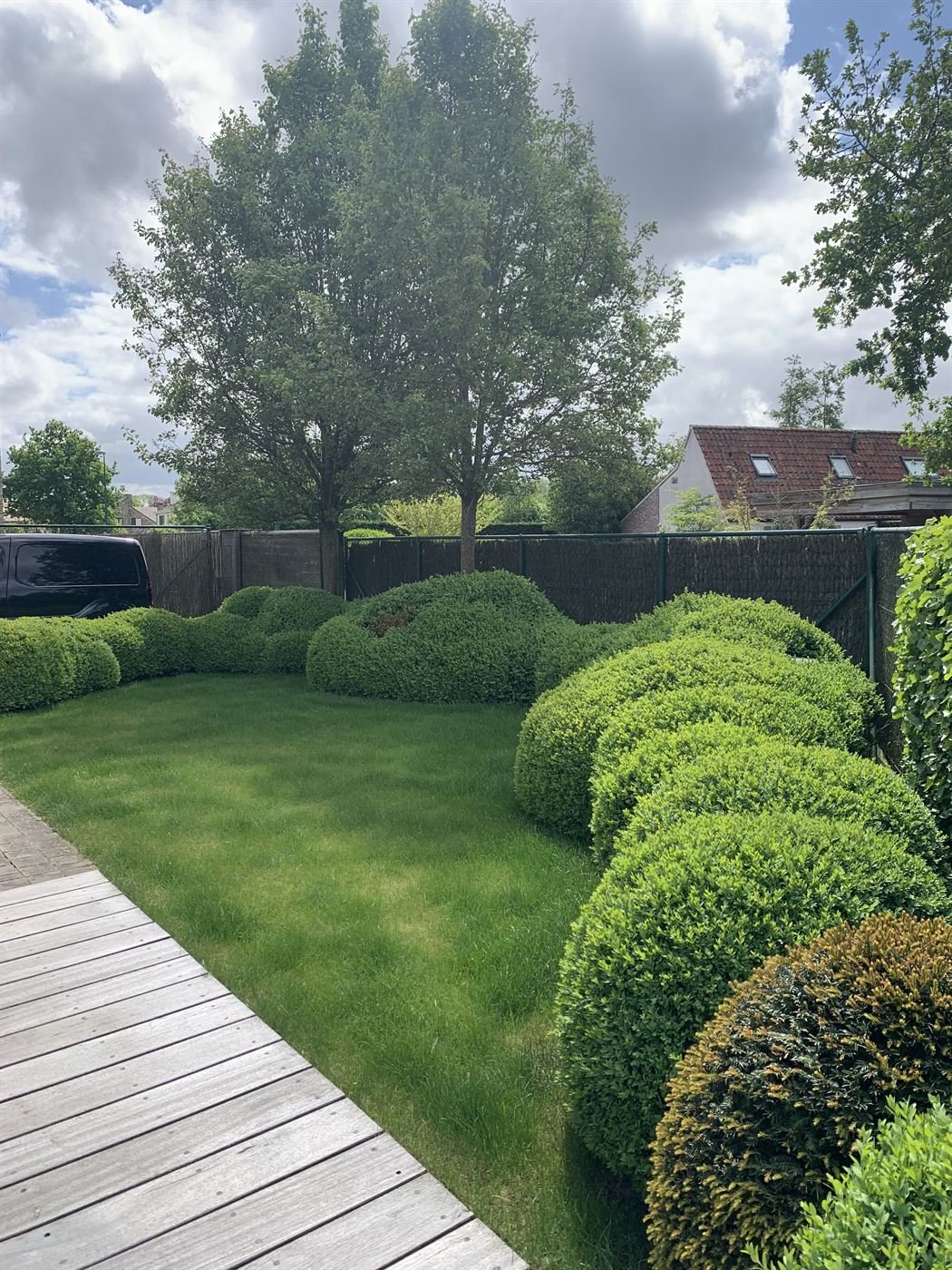 Hagen en border aanleg
