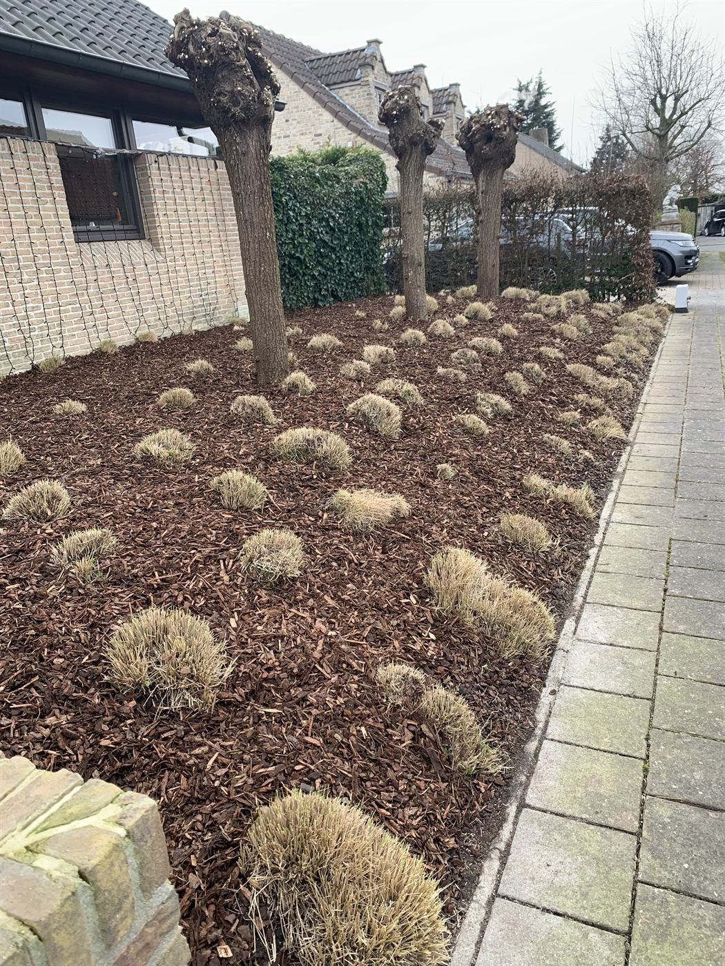 Heggen scheren op maat