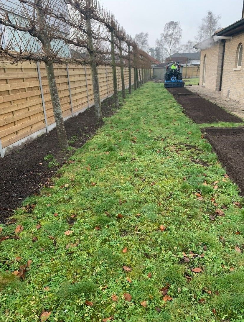 Tuin van Marleen voor de renovatie